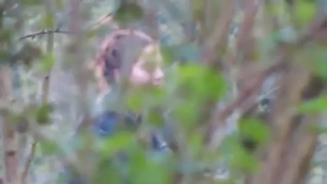 XXX hiçbir kayıt Kayıp kız çocuğu onu becerdin gerekir amatörtürkpornoları