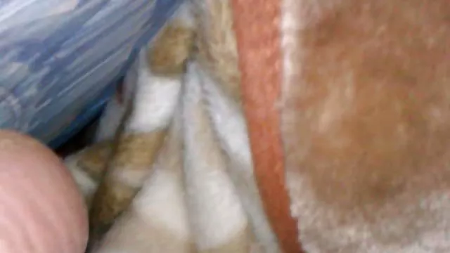 XXX hiçbir kayıt Piknik açık eğlenceli amator sex vk fisting
