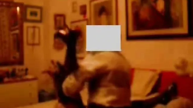 XXX hiçbir kayıt Bazı amatör yaşlı pornoları sıcak anal Sluts karşı Lex kadar